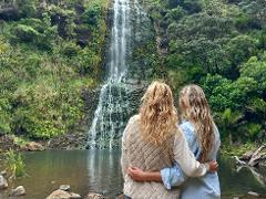 Full Day Sightseeing Tour in Auckland