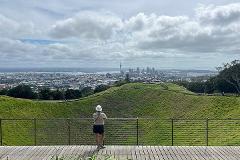 Full Day Sightseeing Tour in Auckland
