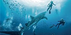GALAPAGOS | 25 Aug - 1 Sept 2027 