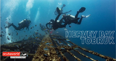 Hervey Bay | ex-HMAS TOBRUK: SAT 10 AUGUST 2024