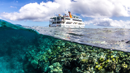 Cairns: GBR (Reef Encounter Liveaboard) | 16-21st OCTOBER 2024