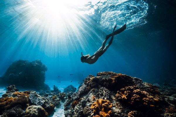 Snorkel Diver Course
