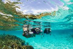 Snorkelling Trip - Mudjimba Island