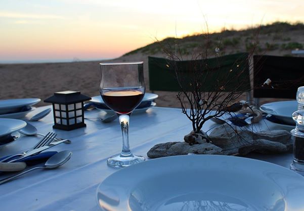 A Night with Sea Turtles - AUSTURTLE FUNDRAISER