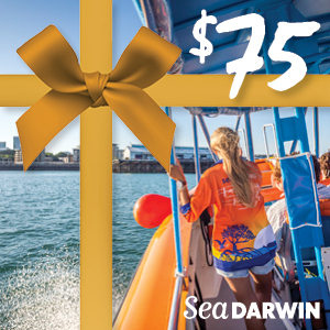 $75 Sea Darwin Voucher 