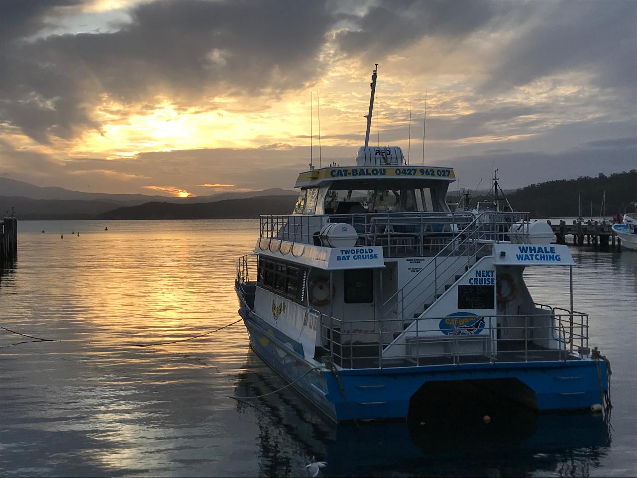 Twilight Cruise