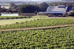Hunter Valley Wine Tasting Private Tour