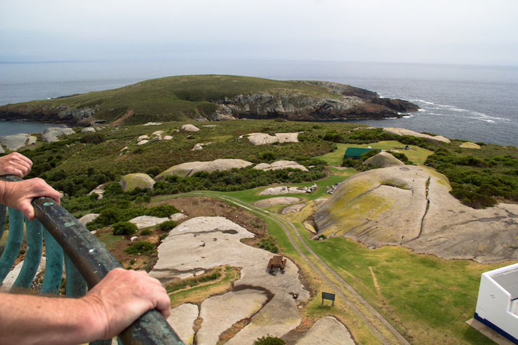 montague island lighthouse tour