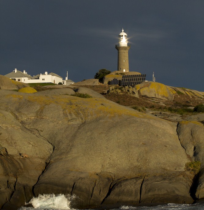 Montague Island Tour Morning