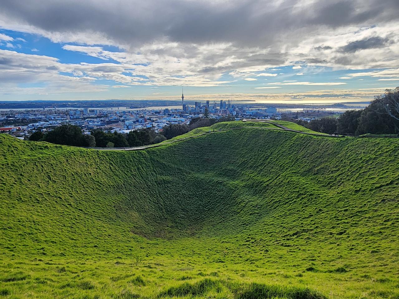 Auckland City Volcano and Vines