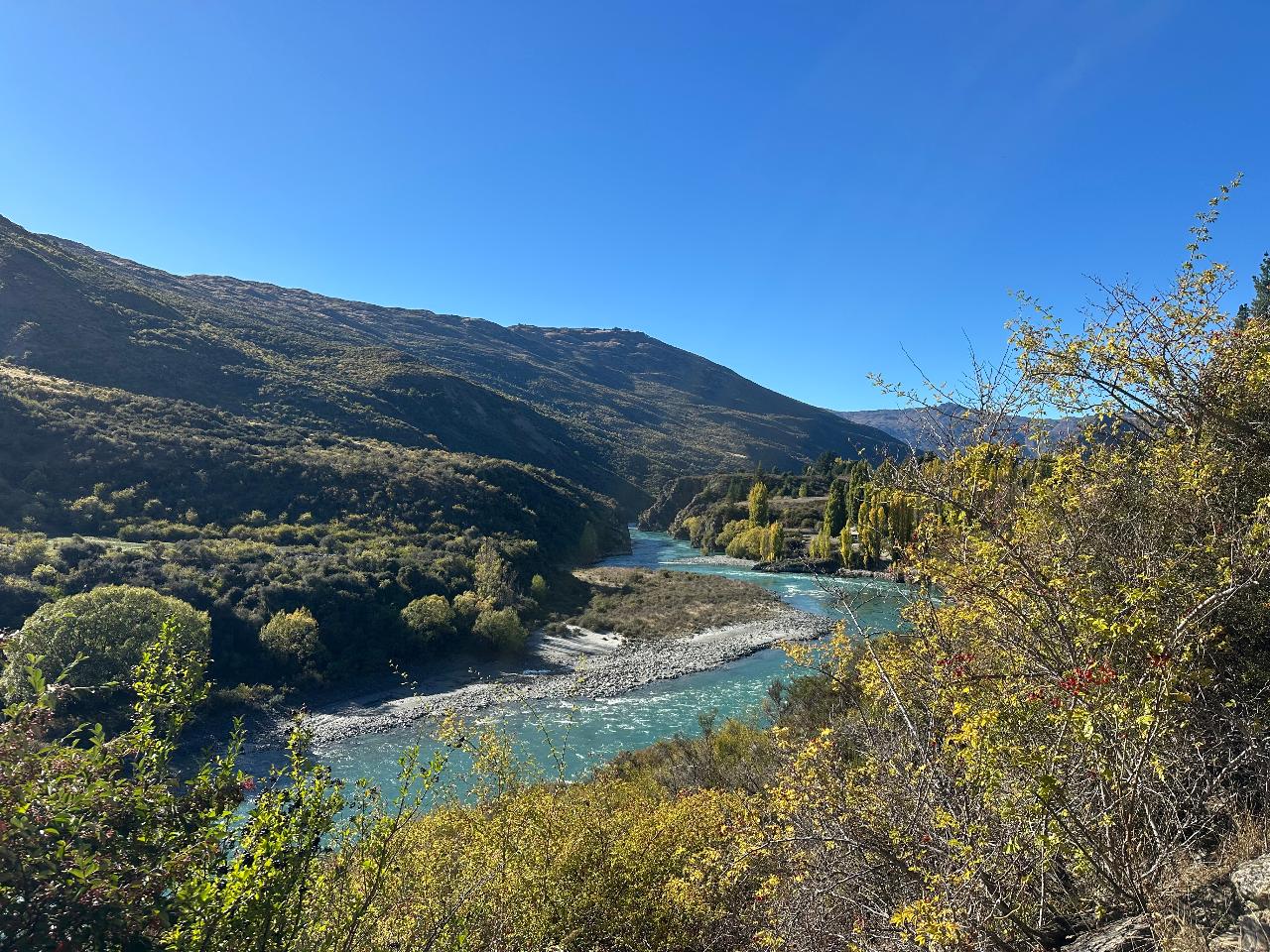 Premium Queenstown Wine Tour