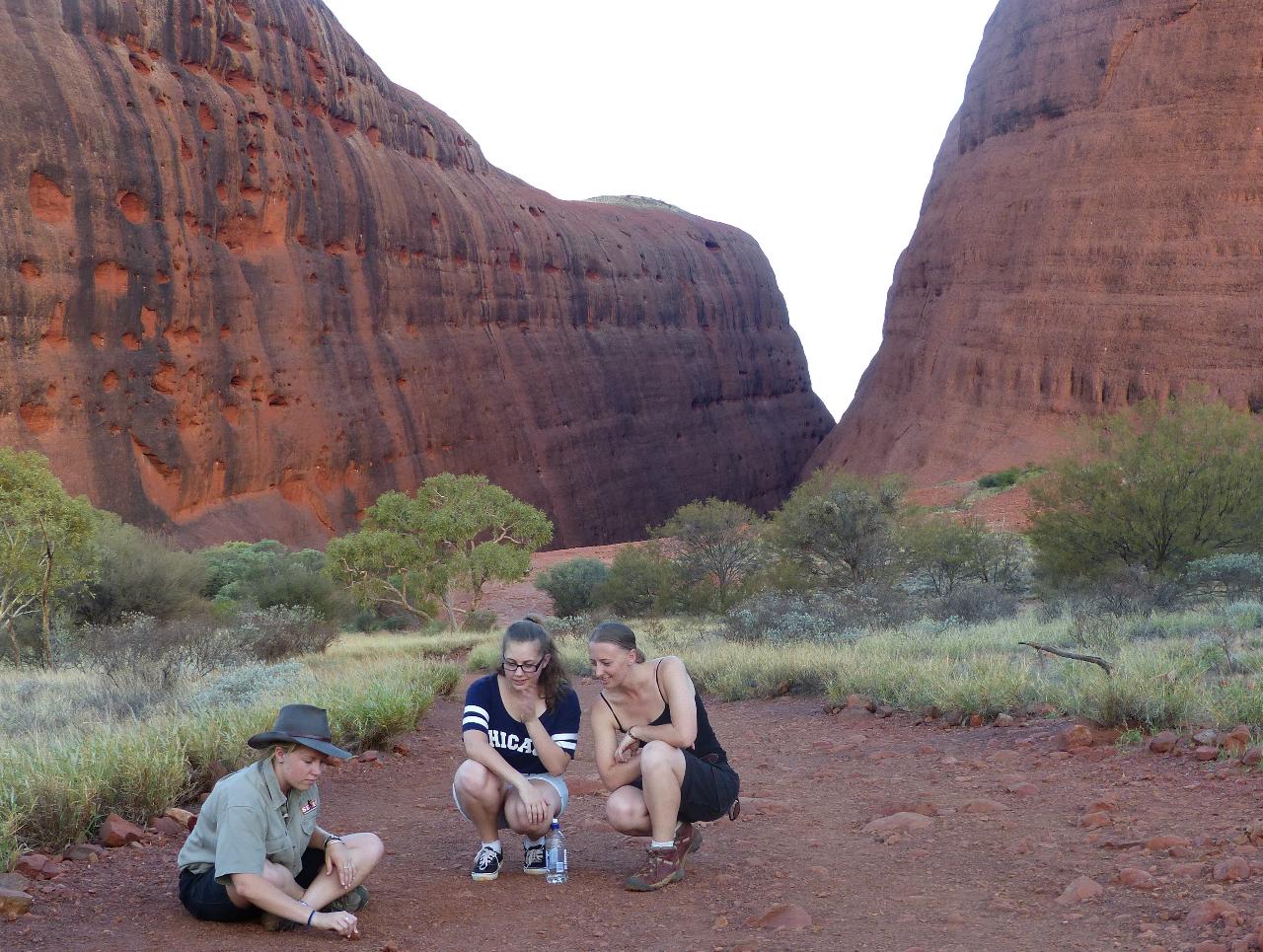 SEIT Kata Tjuta Domes (SKD)