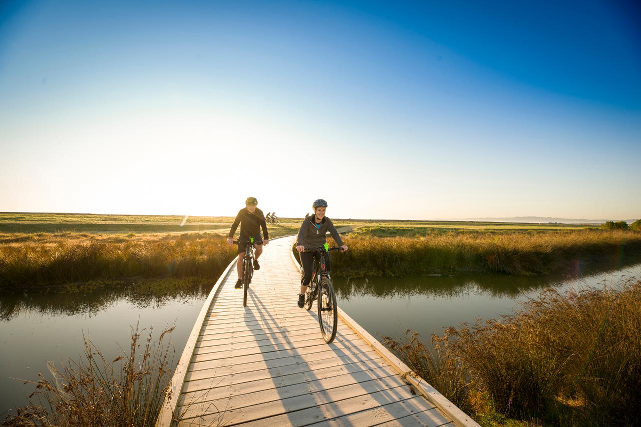 UNCORKED Hawke’s Bay 5 day Food, Wine & E-Bike Escape