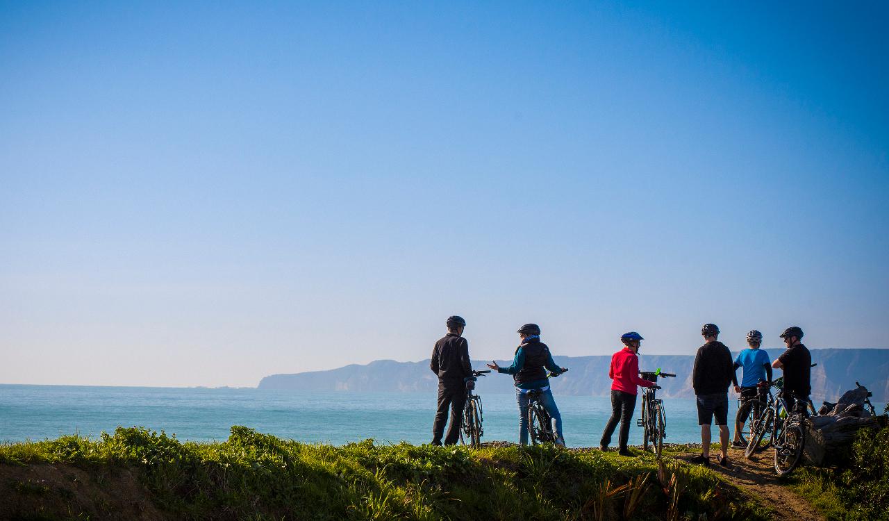 Cape Coast Winery Ride with STANDARD Bike (16 km, 6 wineries)