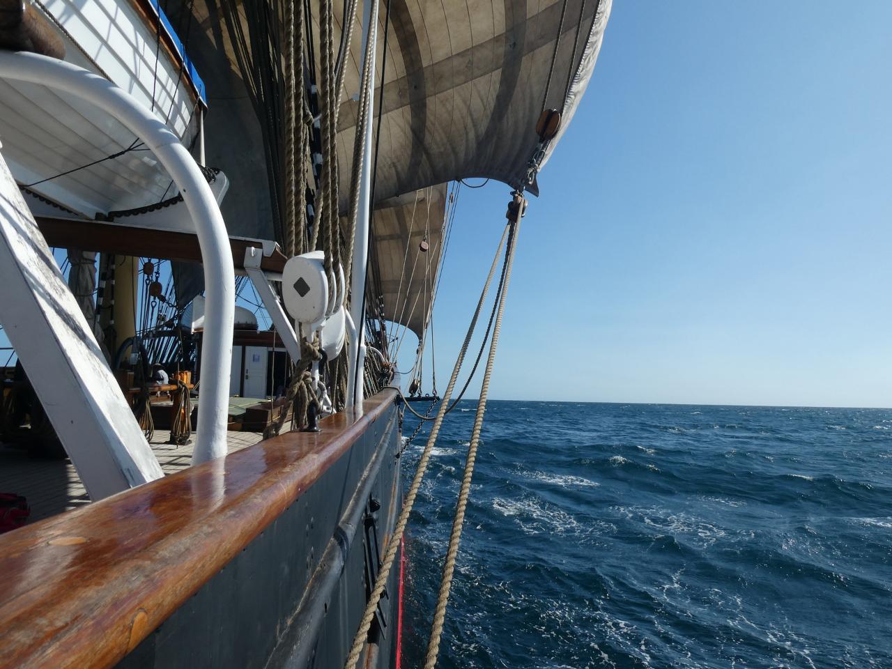 Tall Ship James Craig Voyage Hobart to Sydney 2023 Sydney Heritage