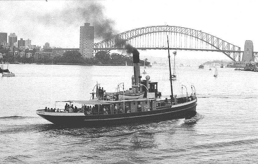 Waratah | Sydney Harbour Bridge 90th Anniversary