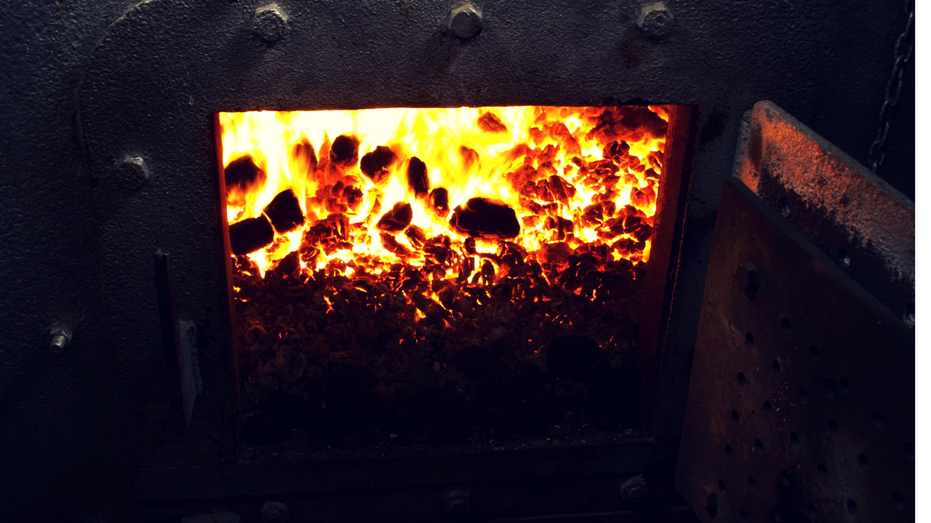 Sydney Harbour Secrets Cruise