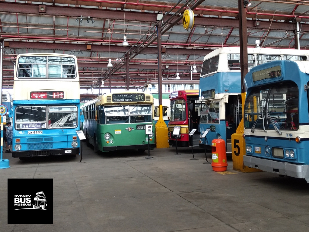 Tour B Vintage Bus and Waratah Tug Combined Day Out Leichhardt