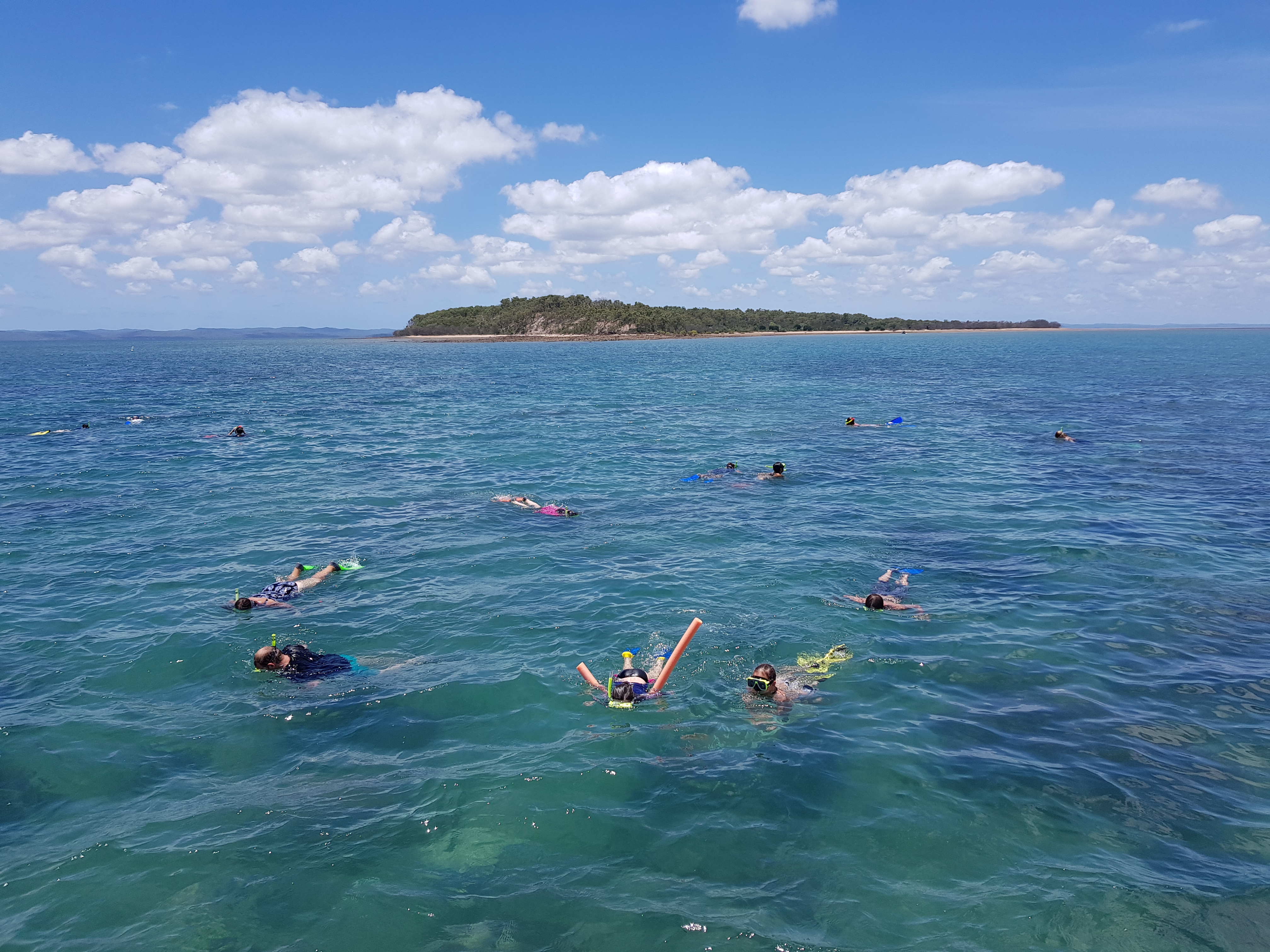 Turtle Discovery Ecotour