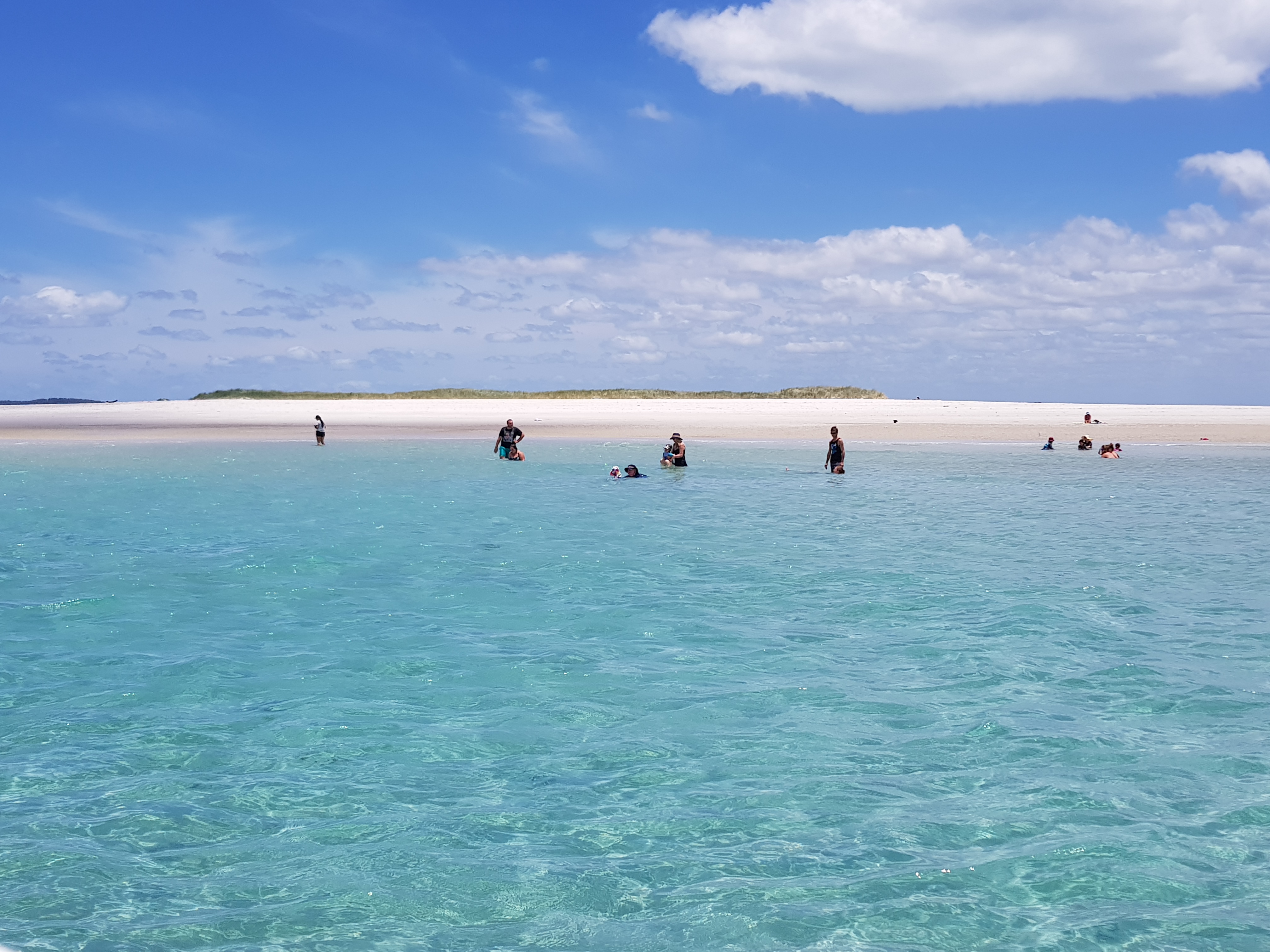 Turtle Discovery Ecotour