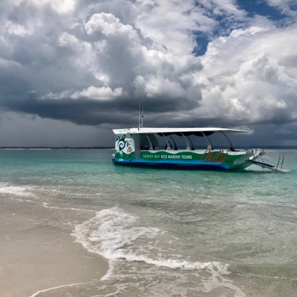 Turtle Discovery Ecotour