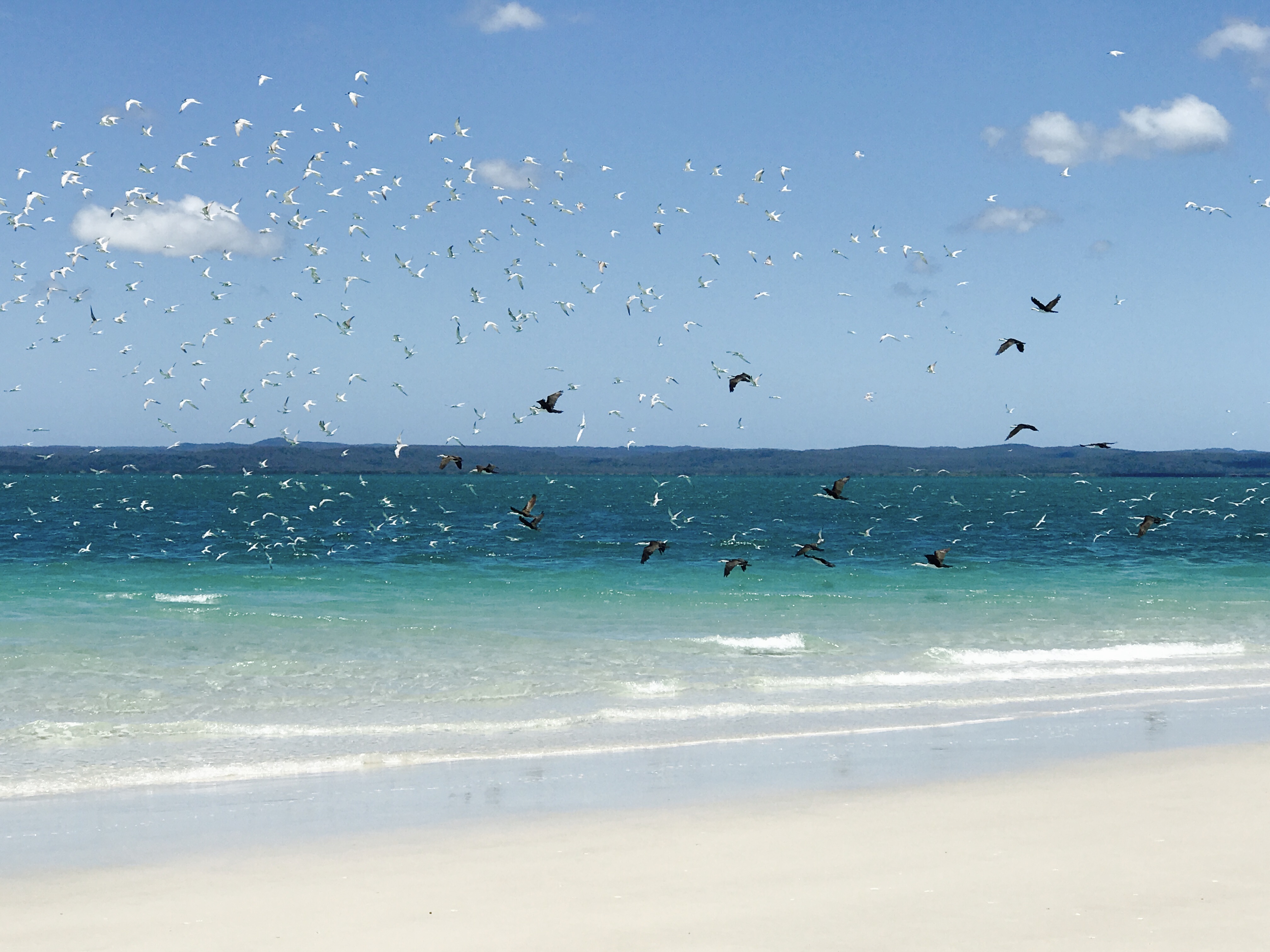 Turtle Discovery Ecotour