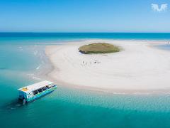 XMAS DAY! PRAWNS, PROSECCO & PELICAN BANKS