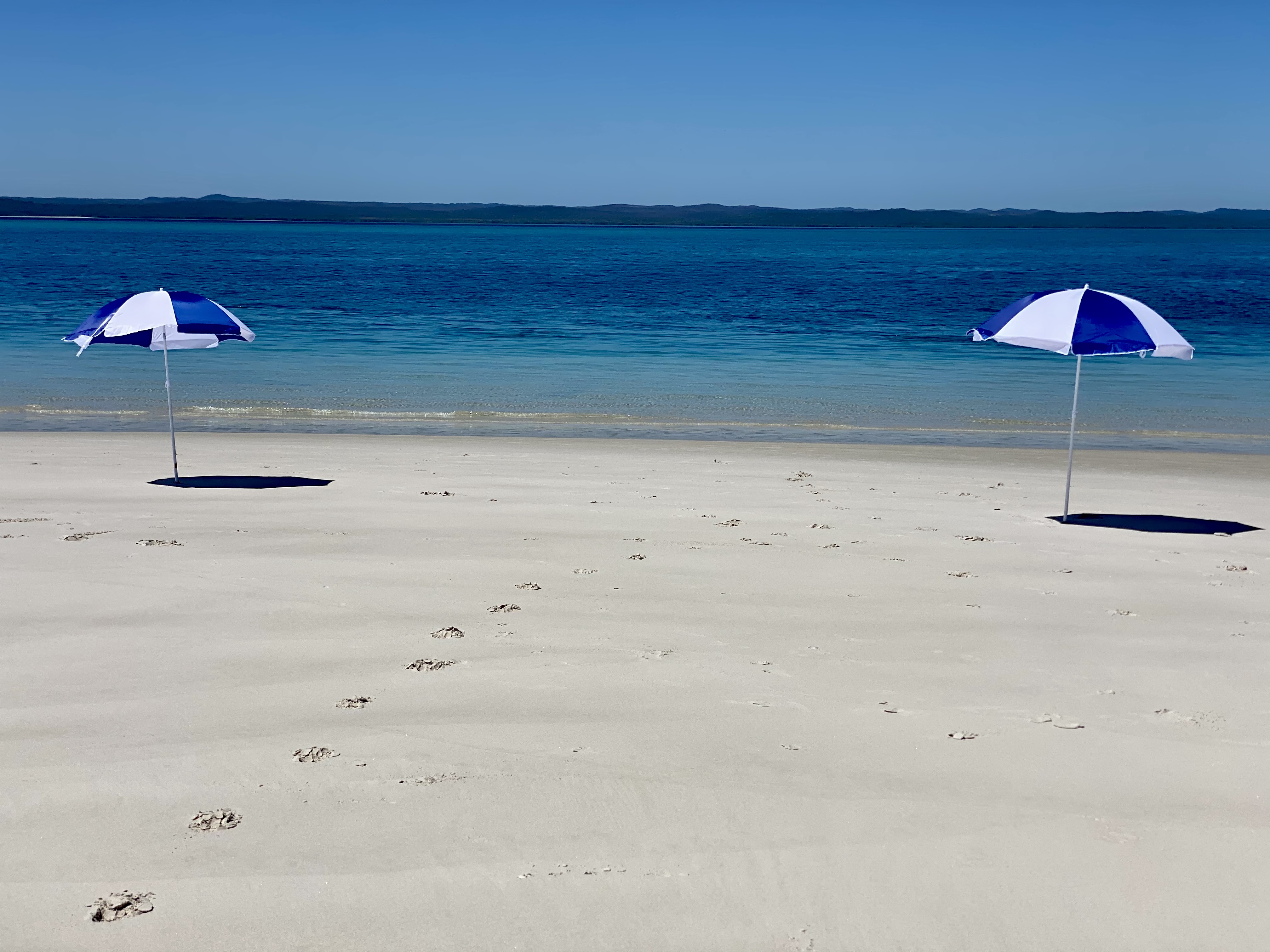 Turtle Discovery Ecotour