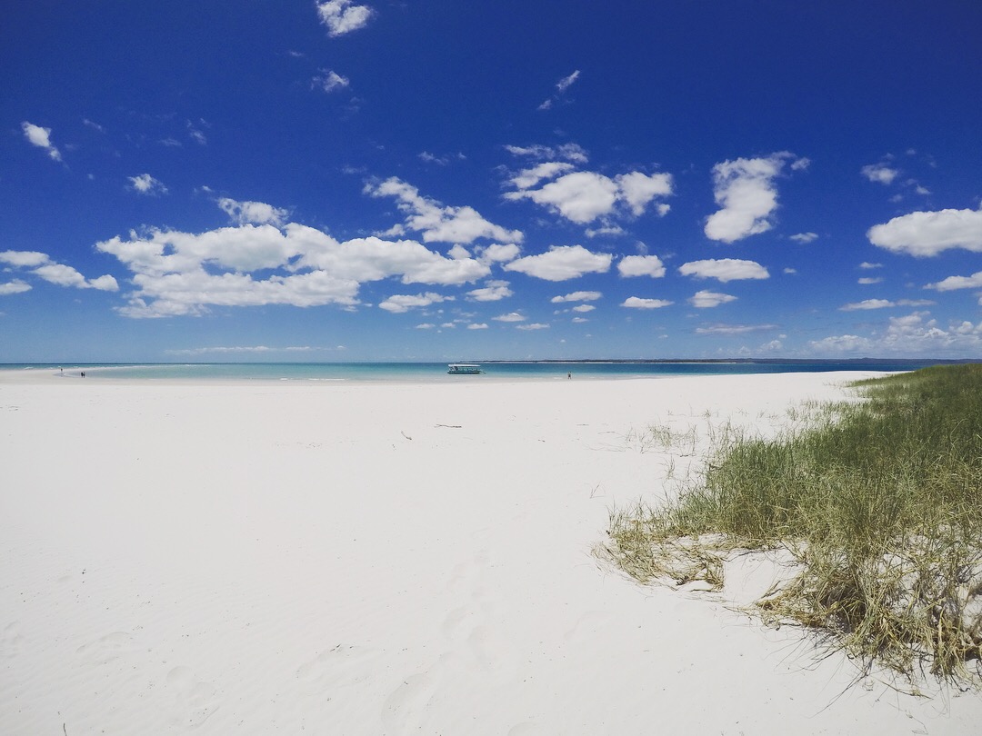 Turtle Discovery Ecotour