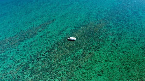 Turtle Discovery Ecotour