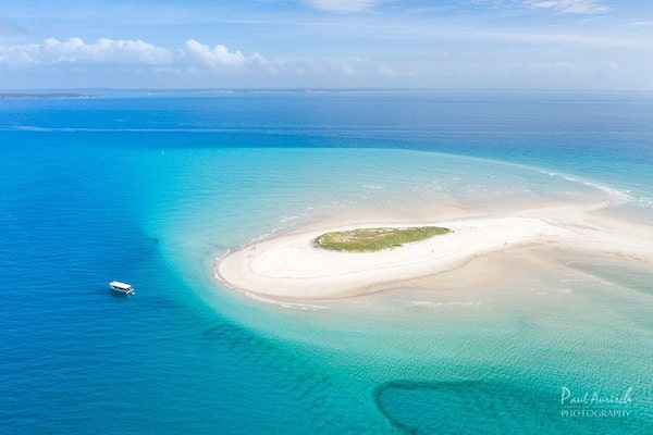 Turtle Discovery Ecotour