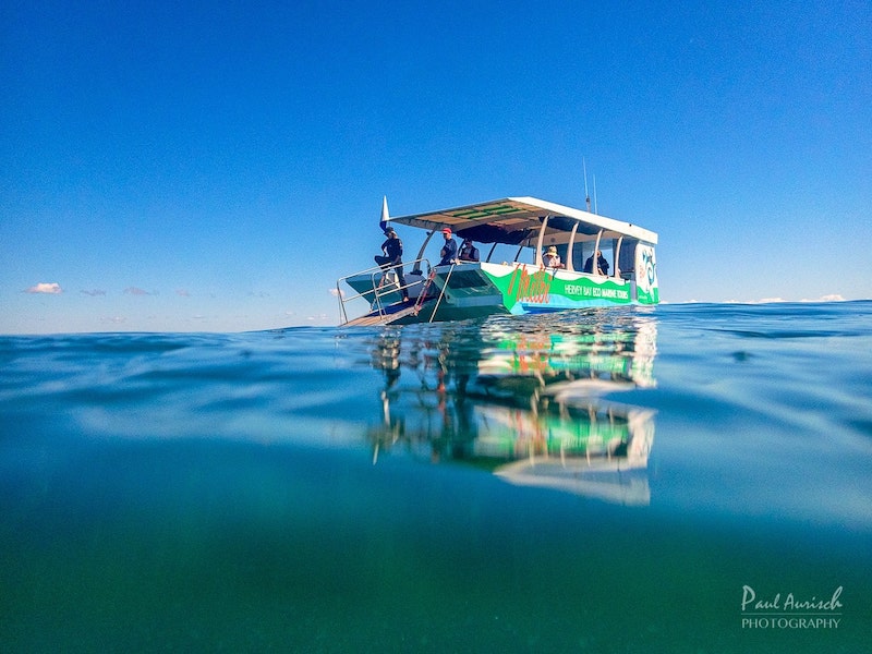 Turtle Discovery Ecotour