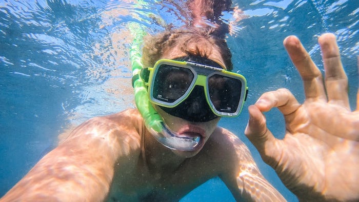 Turtle Discovery Ecotour