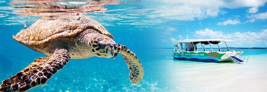 Turtle Discovery Ecotour