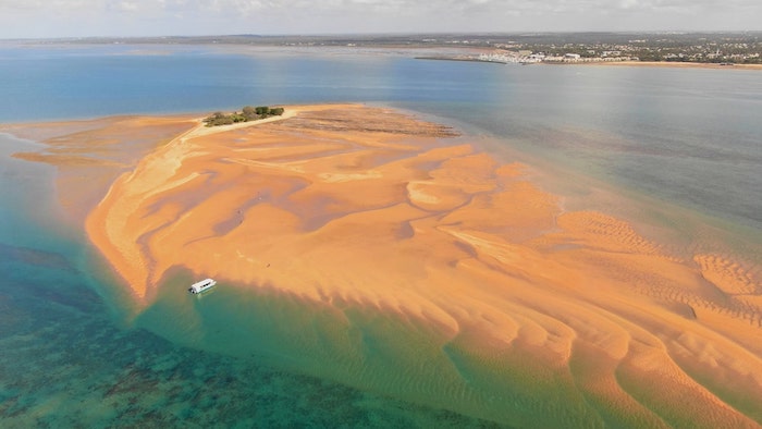 Turtle Discovery Ecotour