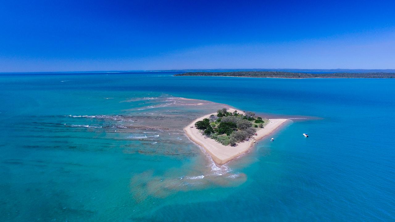 Experience Round Island Hervey Bay Eco Marine Tours Reservations