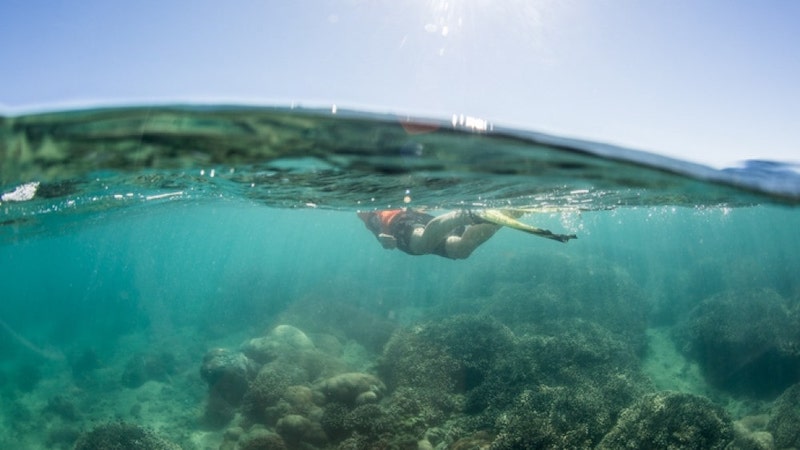 Turtle Discovery Ecotour