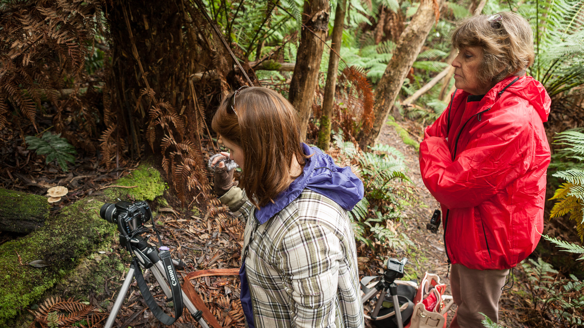 Outdoor Photography Tuition - Half Day