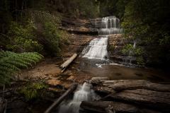 Mt Field National Park & Russell Falls - Full Day Private Tour