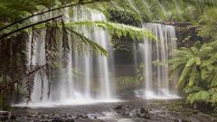 Private Nature Photography Retreat - Mt Field National Park (all-inclusive)
