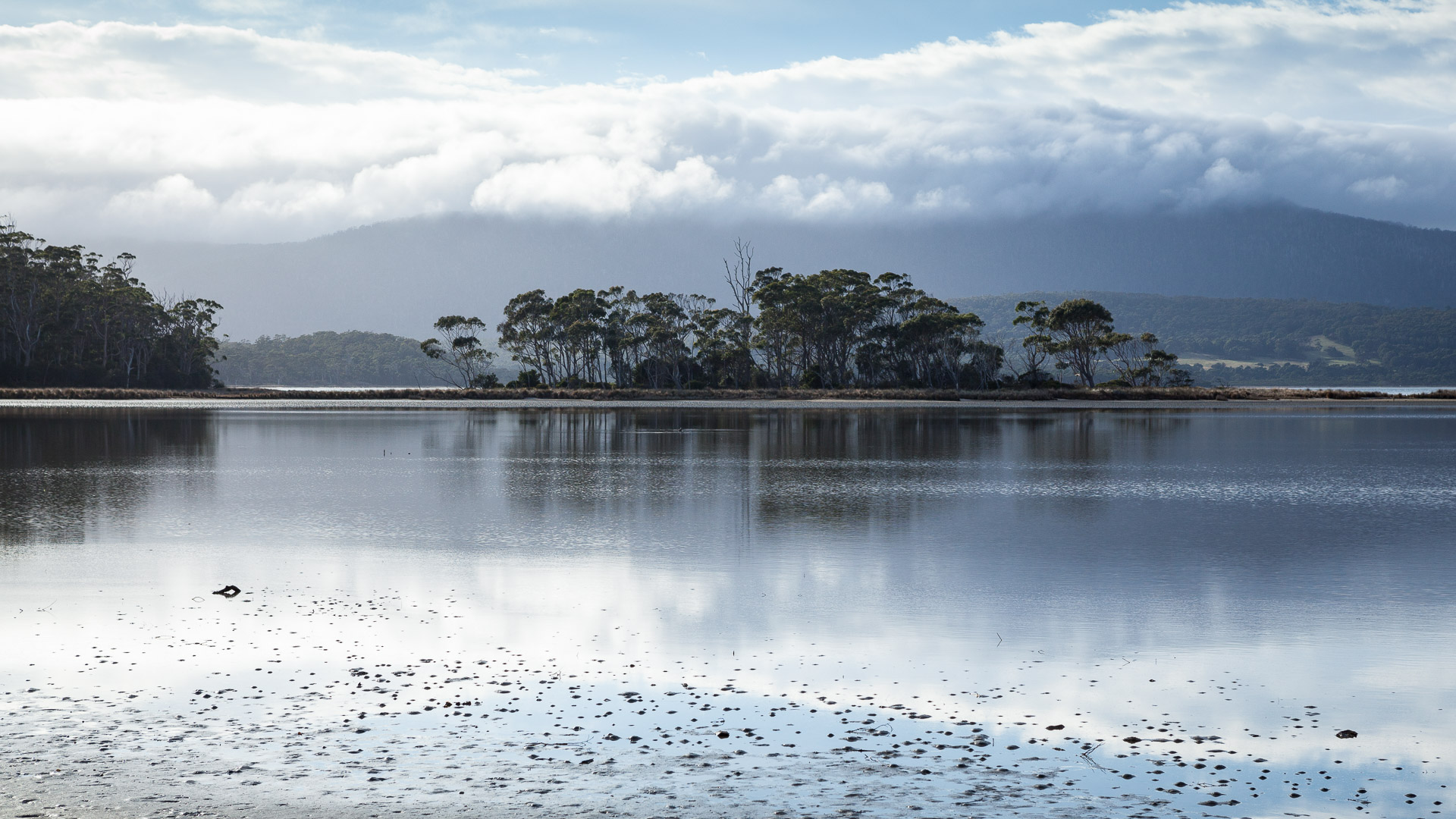 Bruny Island - photo-oriented private day tour (CLASSIC)