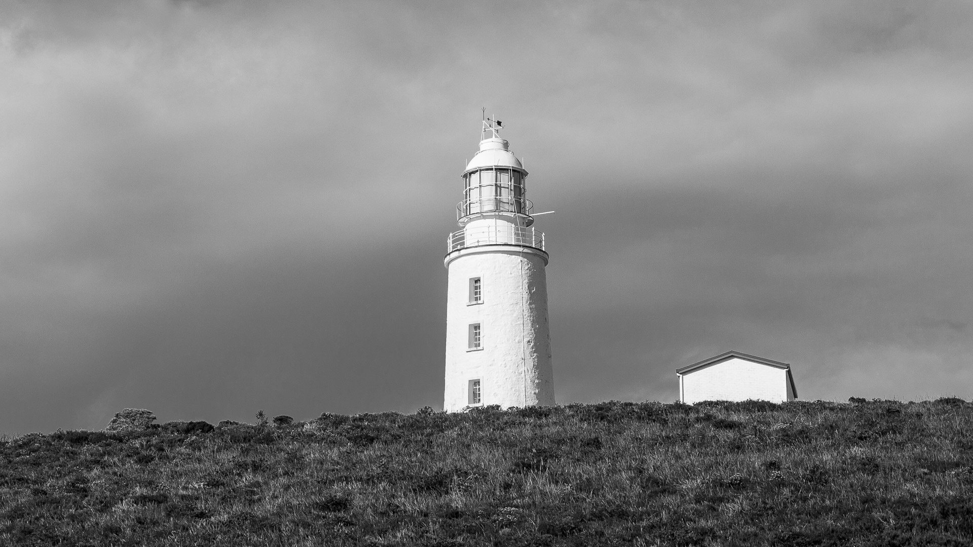 Bruny Island - photo-oriented private day tour (CLASSIC)