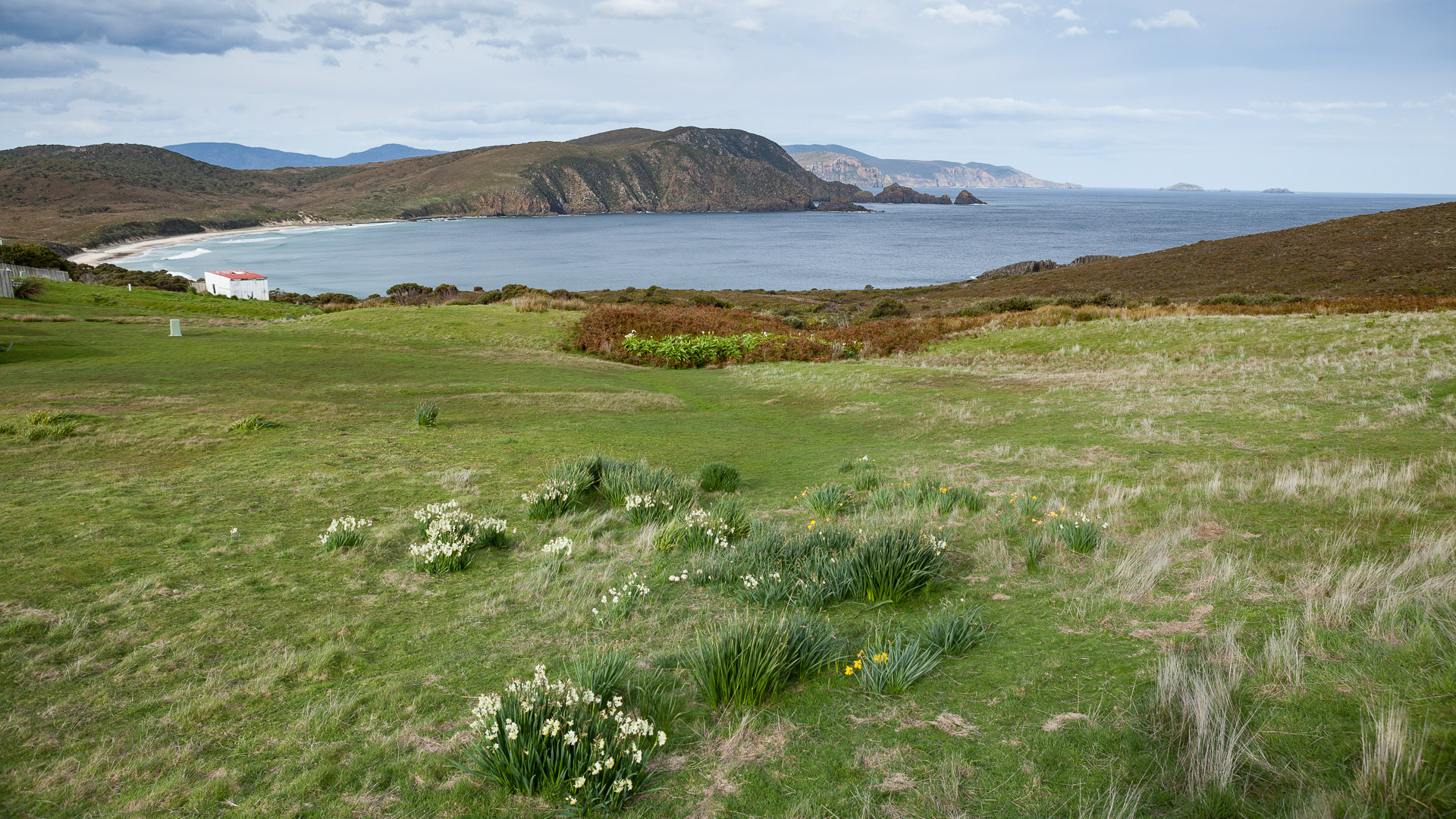 Bruny Island - photo-oriented private day tour (CLASSIC)