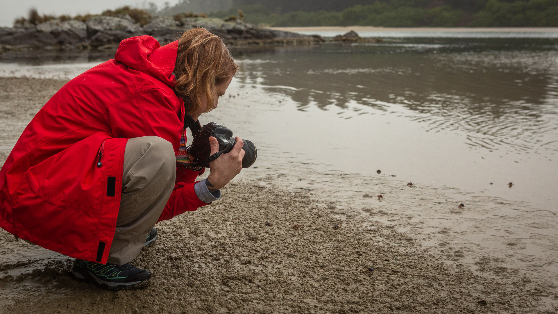 Bruny Island - photo-oriented private day tour (CLASSIC)