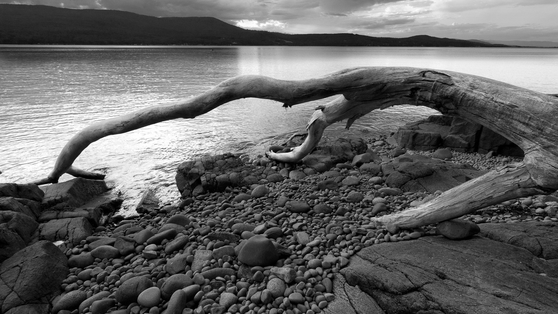 Bruny Island - photo-oriented private day tour (CLASSIC)