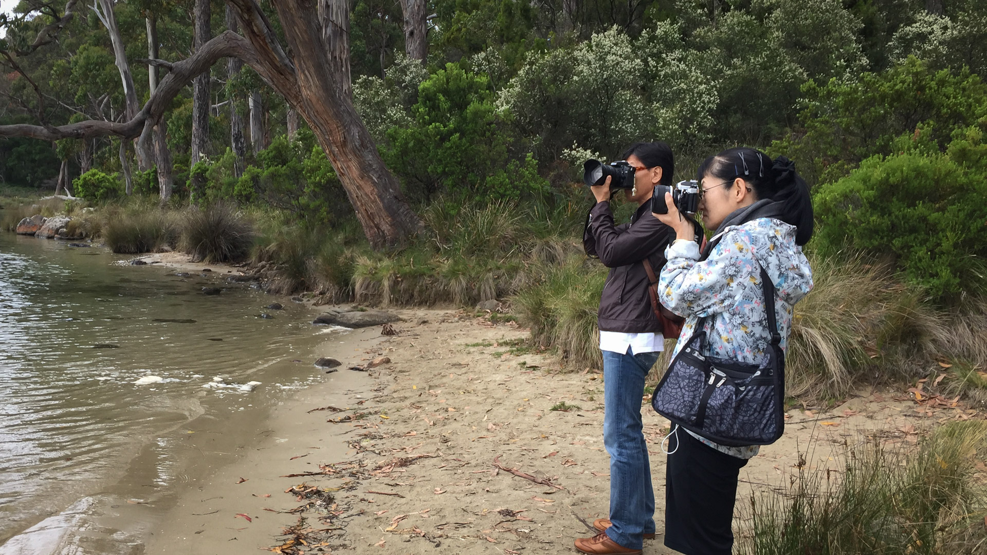 Bruny Island - photo-oriented private day tour (CLASSIC)