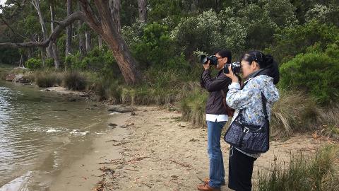 Bruny Island – Premium Private Photo-oriented Day Tour Tasmania Australia