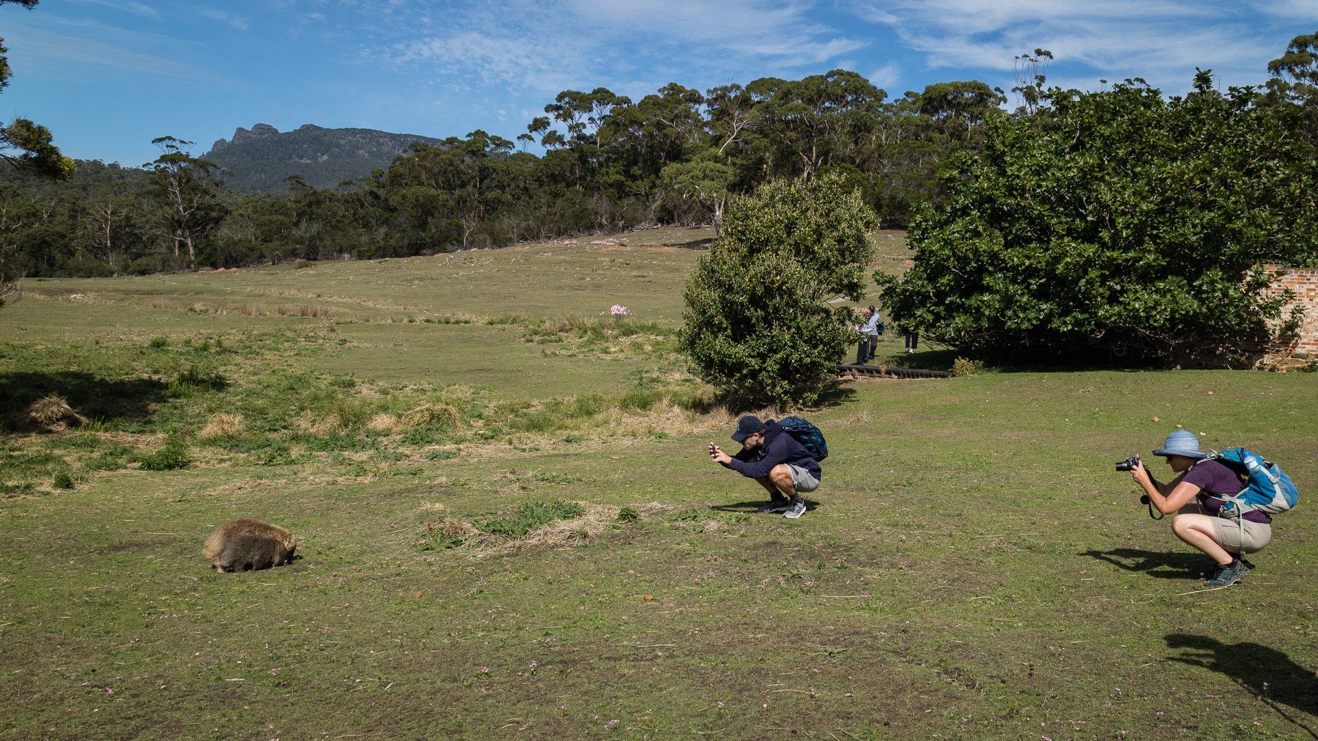 PREMIUM Maria Island - photo-oriented private day tour (all-inclusive)