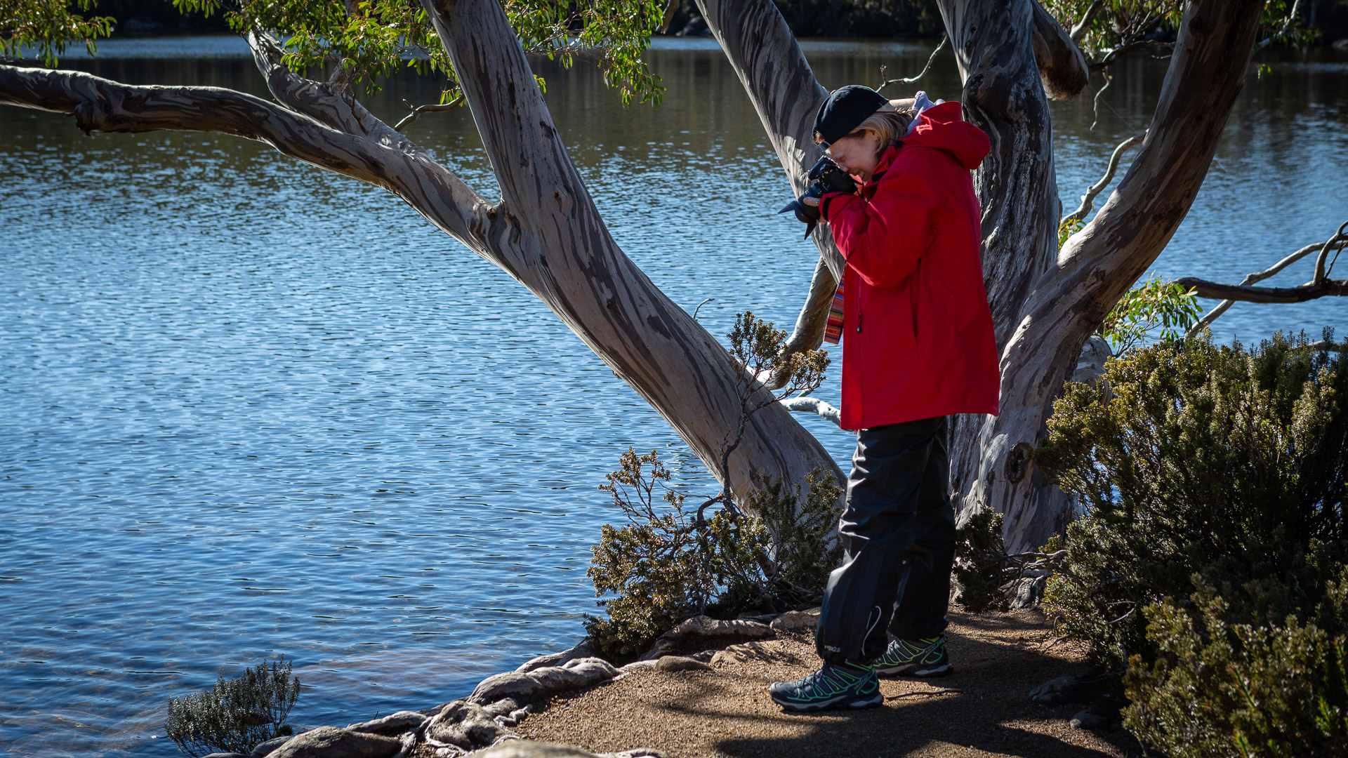 PREMIUM Mt Field National Park & Russell Falls - photo-oriented private day tour (all-inclusive)