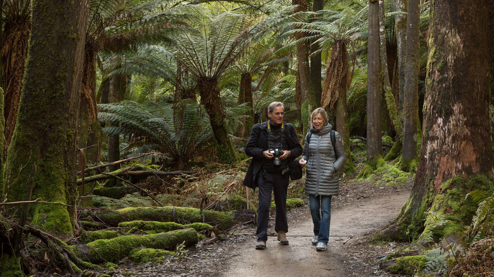 PREMIUM Mt Field National Park & Russell Falls - photo-oriented private day tour (all-inclusive)